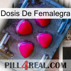 Femalegra Dosage 13